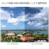有害光線トリプルカット サングラス 8-6 ブラック/スモーク