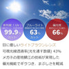 ライトカラー ブロウ 偏光サングラス TYPE-C