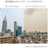 ライトカラー ブロウ 偏光サングラス TYPE-C
