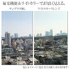 ライトカラー 偏光サングラス 8Y-1 ブラック/ライトスモーク