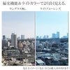 ライトカラー 偏光サングラス 8Y-1 ブラック/ライトブルー