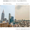ライトカラー ウェリントン 偏光サングラス 2212 ブラック/ライトブラウン